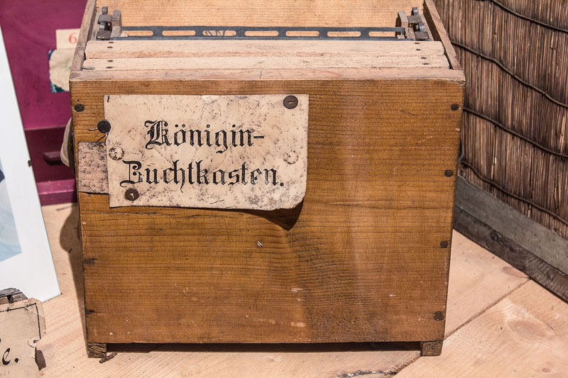 Bienenmuseum Zwettl an der Rodl – Ansicht 4