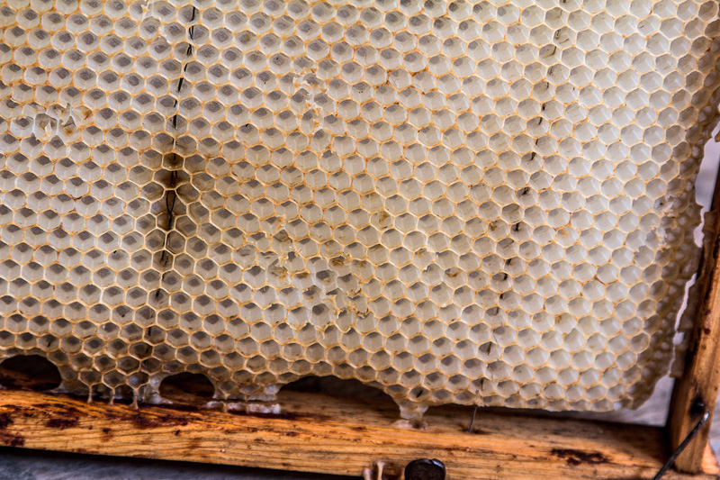 Bienenmuseum Zwettl an der Rodl – Ansicht 2