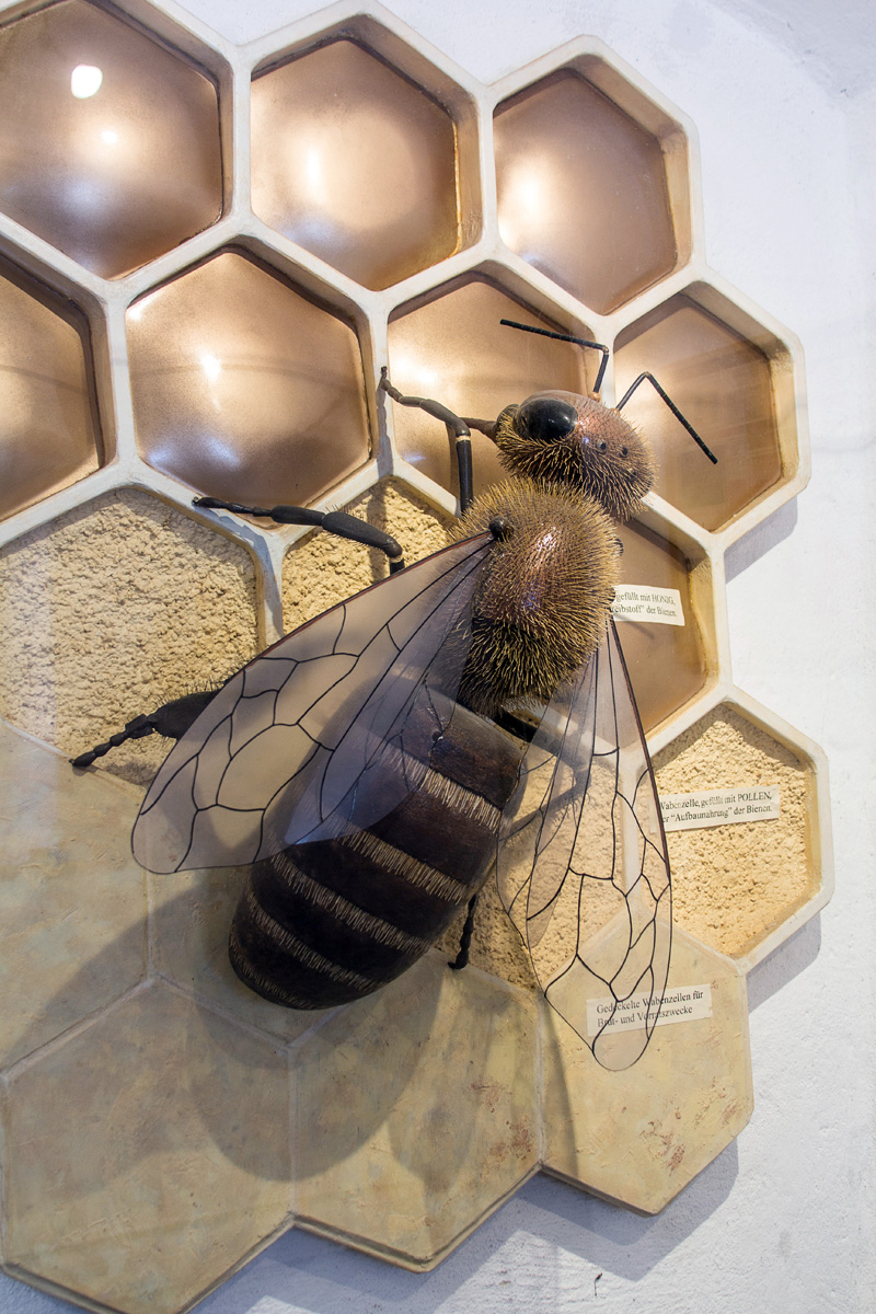 Bienenmuseum Zwettl an der Rodl – Ansicht 5